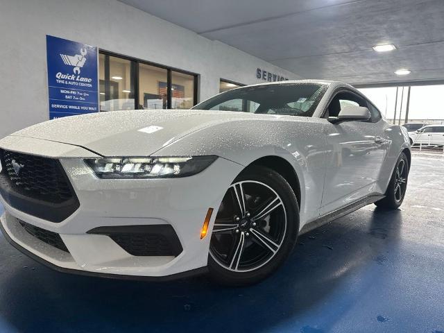 2025 Ford Mustang EcoBoost Fastback for sale in Plant City, FL