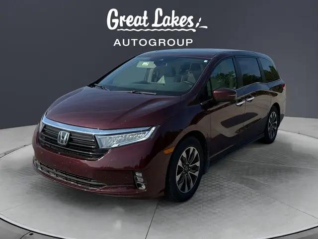 2021 Honda Odyssey EX-L for sale near Findlay, OH