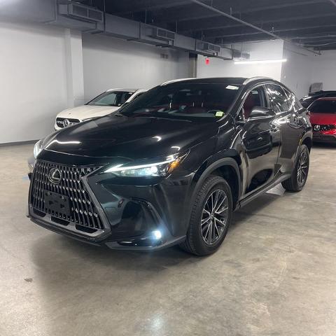 2024 Lexus NX 350 Premium for sale in Alexandria, VA