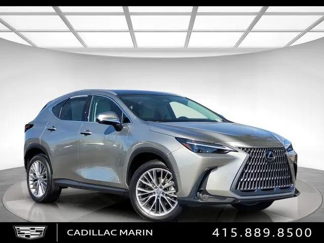 2026 Lexus NX 350 Luxury for sale in San Rafael, CA