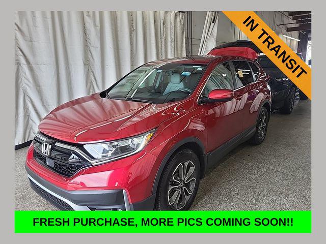 2020 Honda CR-V 2WD EX-L for sale in LaFollette, TN