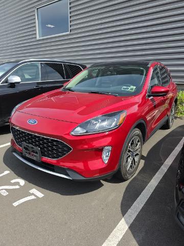 2020 Ford Escape SEL for sale in Latham, NY