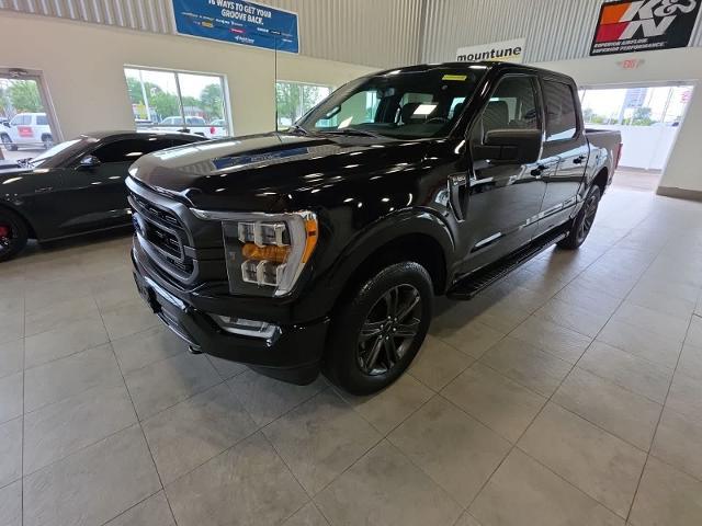 2023 Ford F-150 XLT for sale in Sterling Heights, MI