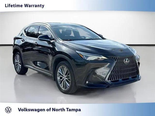 2023 Lexus NX 350h Premium for sale in Tampa, FL