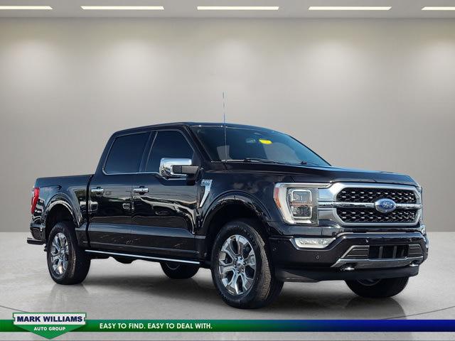 2023 Ford F-150 Platinum for sale in Cincinnati, OH