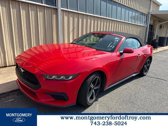 2024 Ford Mustang EcoBoost Premium Convertible for sale in Troy, NC
