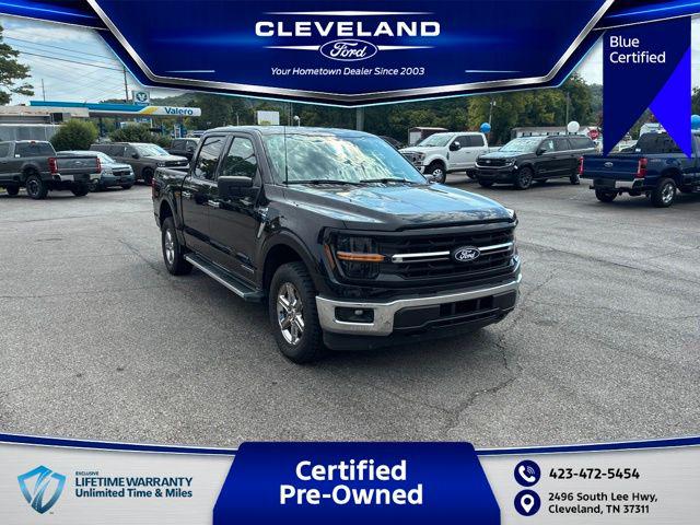 2024 Ford F-150 XLT for sale in Cleveland, TN