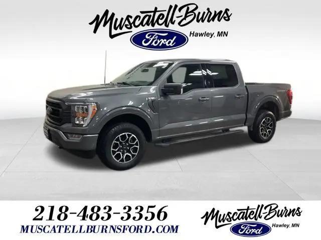 2023 Ford F-150 XLT for sale in Hawley, MN