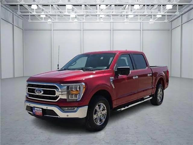 2022 Ford F-150 XLT for sale in Midland, TX