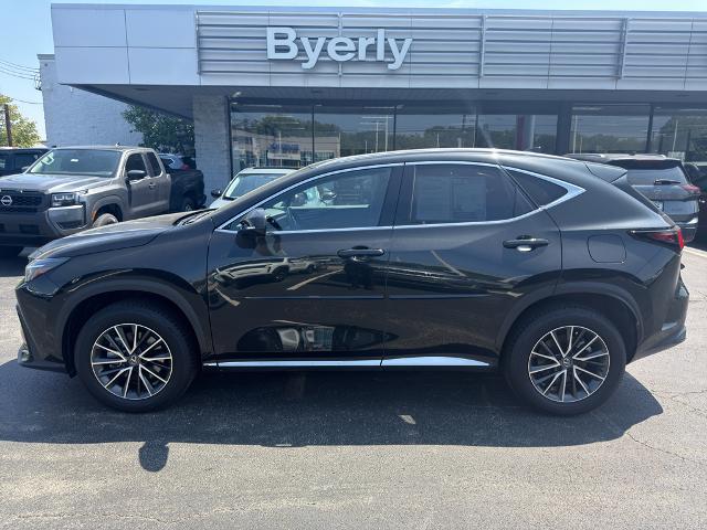 2024 Lexus NX 350h Base for sale in Louisville, KY