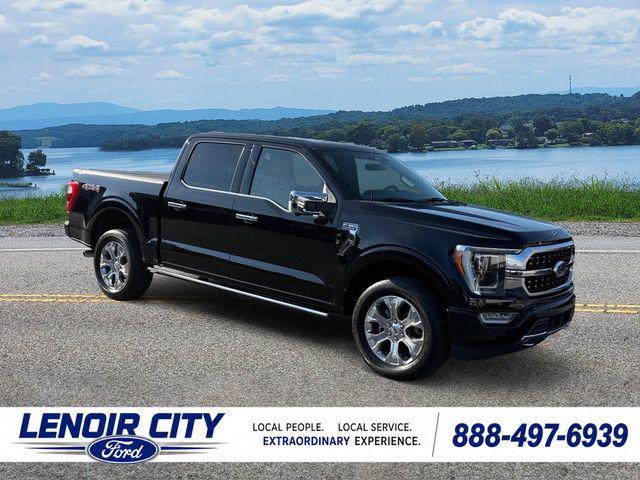 2023 Ford F-150 Platinum for sale in Lenoir City, TN