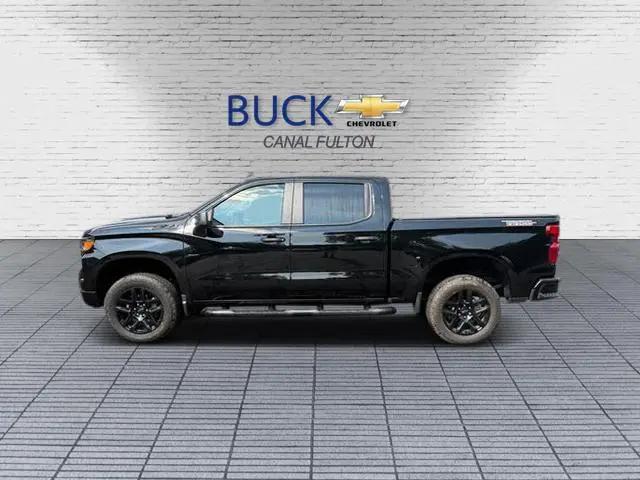 2024 Chevrolet Silverado 1500 4WD Crew Cab Short Bed Custom Trail Boss for sale in Canal Fulton, OH