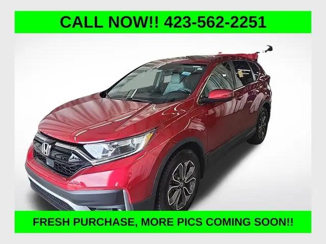 2020 Honda CR-V 2WD EX-L for sale in La Follette, TN