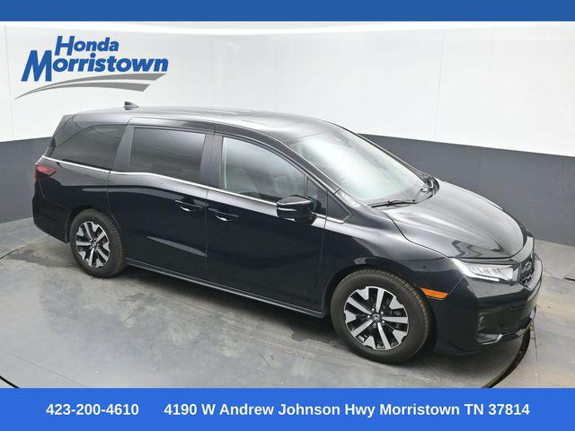2025 Honda Odyssey EX-L for sale in Morristown, TN