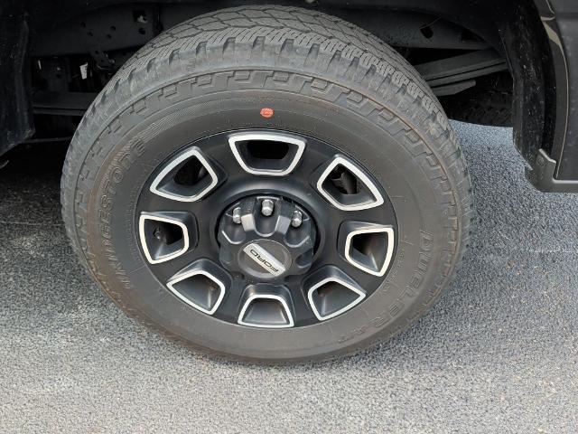 2024 Ford F-250 Platinum