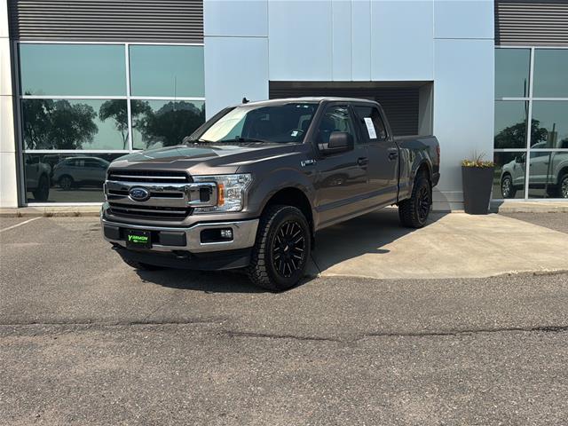 2020 Ford F-150 XLT for sale in Paynesville, MN
