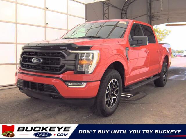 2023 Ford F-150 XLT for sale in London, OH