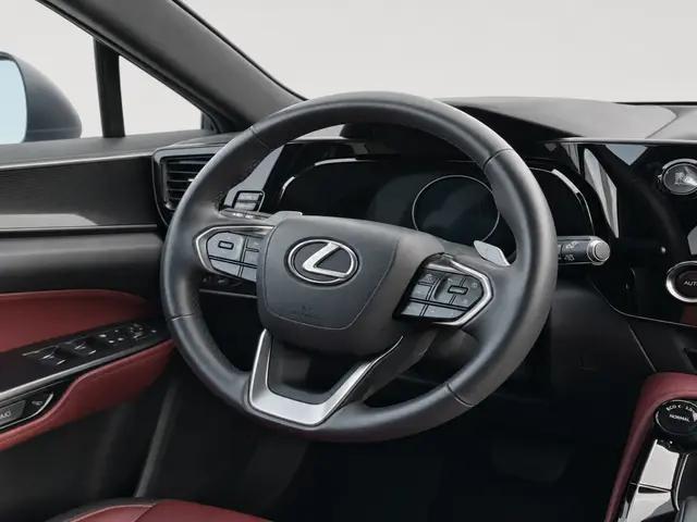 2022 Lexus NX NX 250