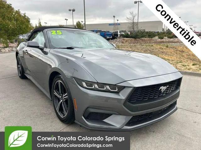2025 Ford Mustang EcoBoost Premium Convertible for sale in Colorado Springs, CO