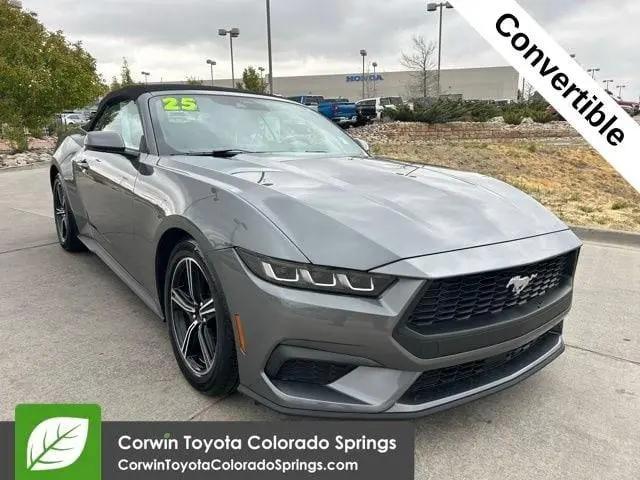 2025 Ford Mustang EcoBoost Premium Convertible for sale in Colorado Springs, CO