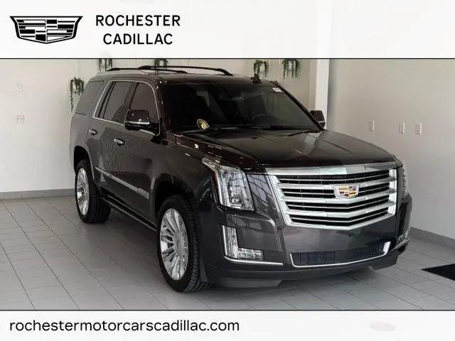 2016 Cadillac Escalade Platinum for sale in Rochester, MN