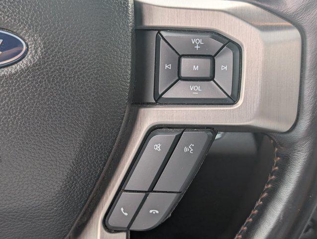 2021 Ford F-250 Platinum