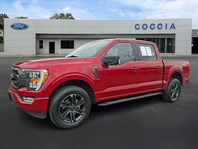 2021 Ford F-150 XLT for sale in BEAR CRK TWP, PA