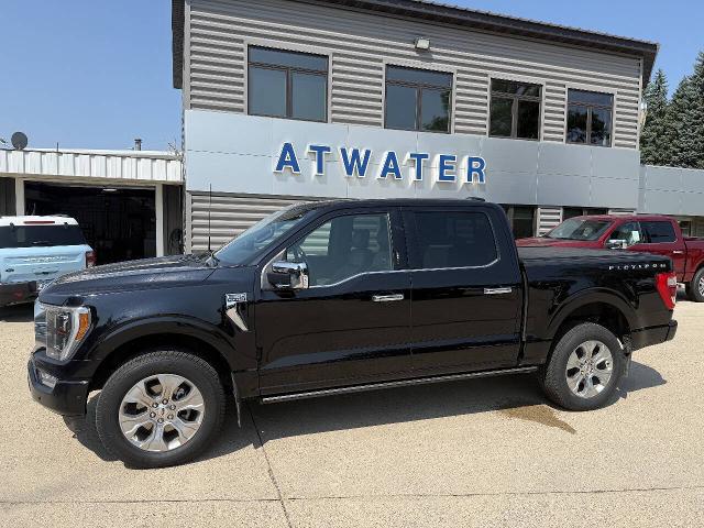 2022 Ford F-150 Platinum for sale in Atwater, MN