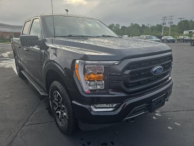2023 Ford F-150 XLT for sale in Elma, NY