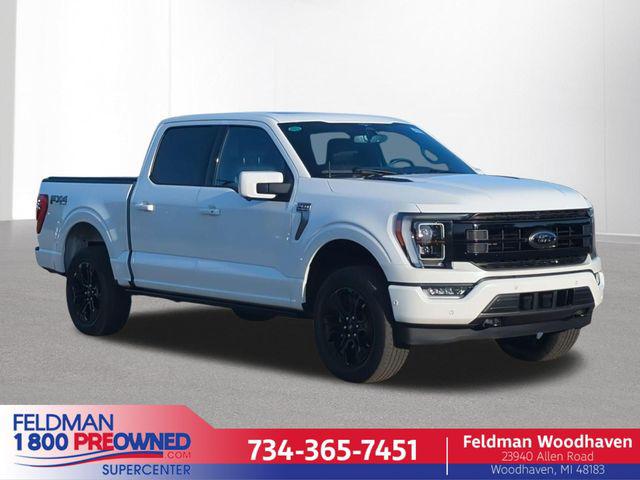 2023 Ford F-150 Platinum for sale in Woodhaven, MI