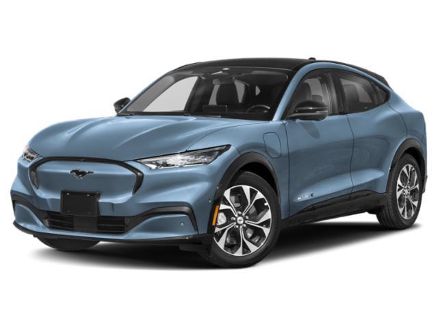 2023 Ford Mustang Mach-E Premium for sale in FLETCHER, NC