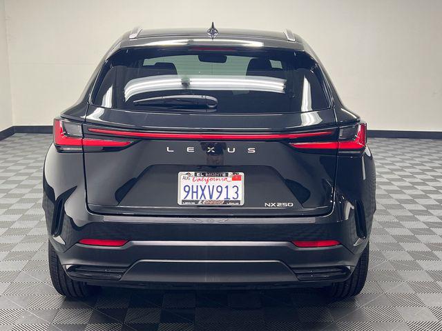 2024 Lexus NX 250 Base