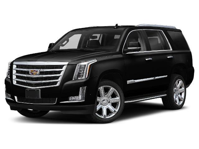 2020 Cadillac Escalade 4WD Platinum for sale in Tawas City, MI