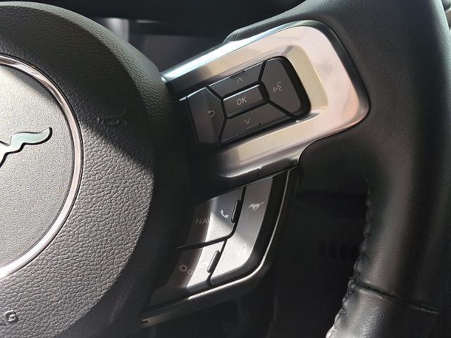 2021 Ford Mustang Mach 1 Fastback