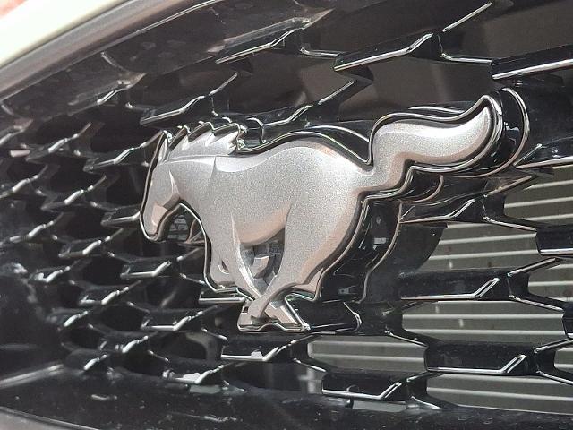 2021 Ford Mustang Mach 1 Fastback
