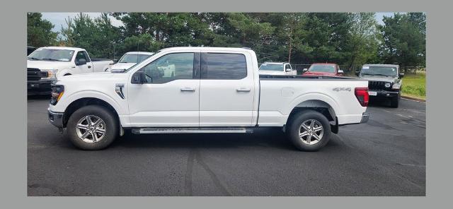 2024 Ford F-150 XLT for sale in North Branch, MN