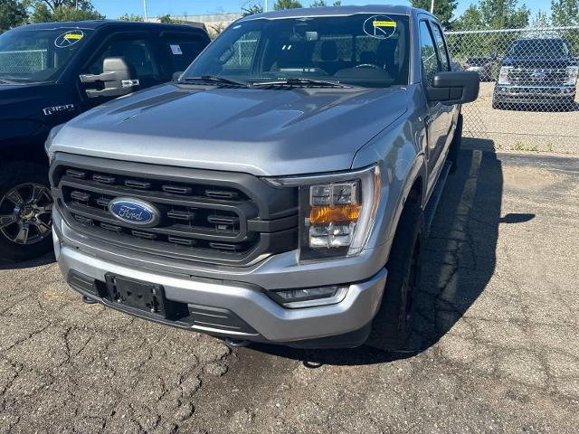 2023 Ford F-150 XLT for sale in Sterling Heights, MI
