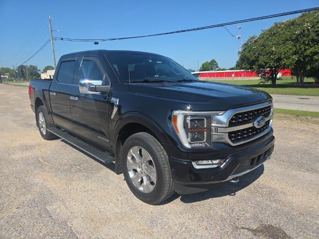 2022 Ford F-150 Platinum for sale in Montgomery, AL