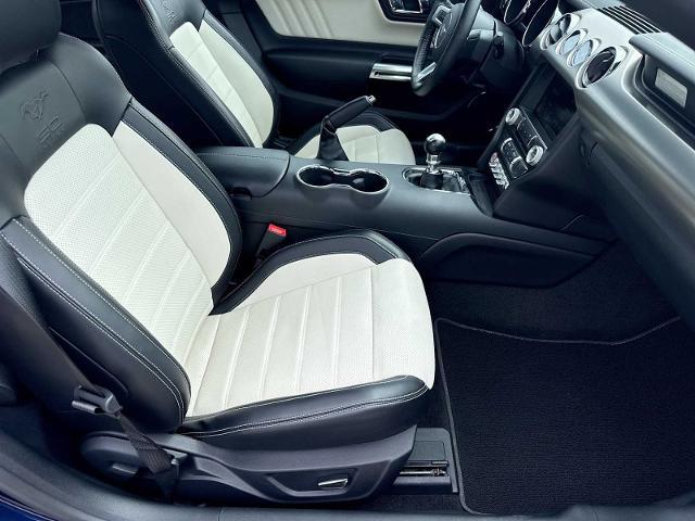2015 Ford Mustang GT 50 Years Limited Edition