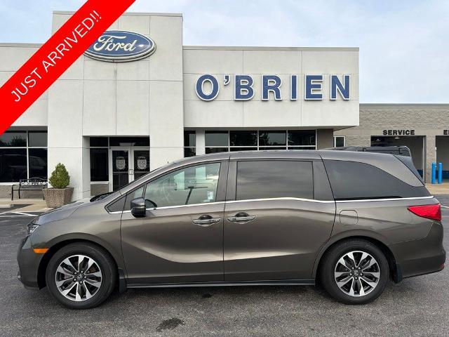 2021 Honda Odyssey EX-L for sale in Shelbyville, KY