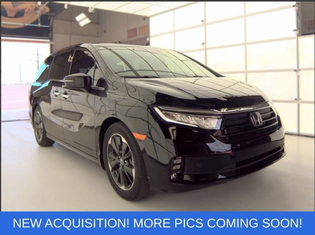 2023 Honda Odyssey Elite for sale in Olive Branch, MS