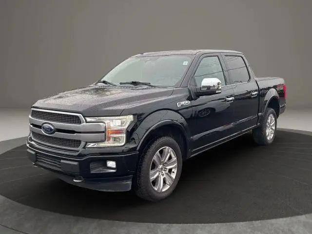2018 Ford F-150 Platinum for sale in Altavista, VA