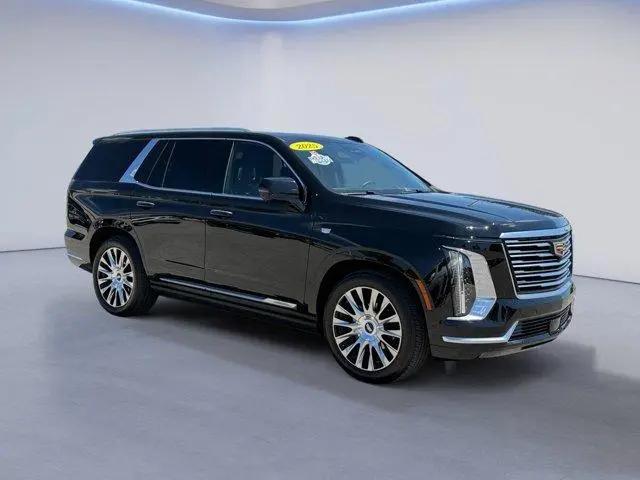 2025 Cadillac Escalade Premium Luxury Platinum for sale in Knoxville, TN