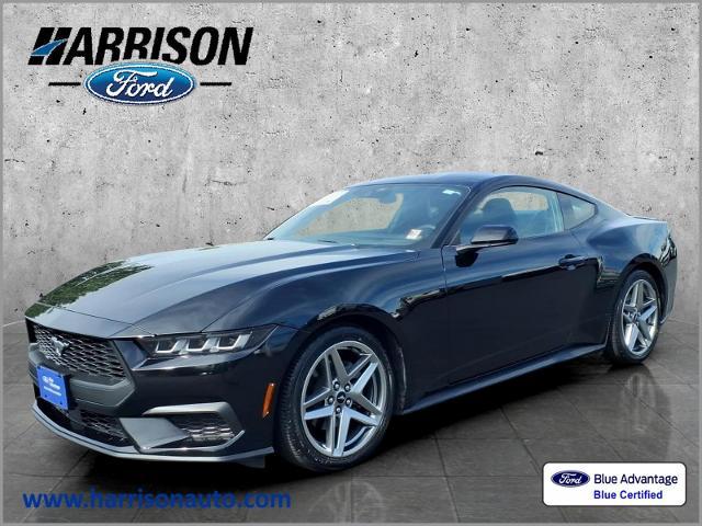 2024 Ford Mustang EcoBoost Premium Fastback for sale in Mankato, MN