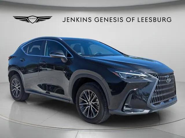 2024 Lexus NX Premium for sale in Leesburg, FL
