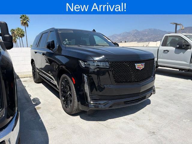 2023 Cadillac Escalade 2WD Sport for sale in Duarte, CA