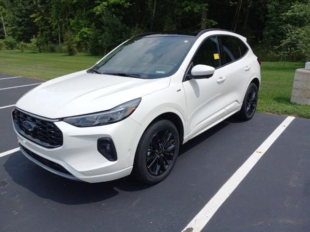 2024 Ford Escape ST-Line Elite for sale in Galesburg, MI