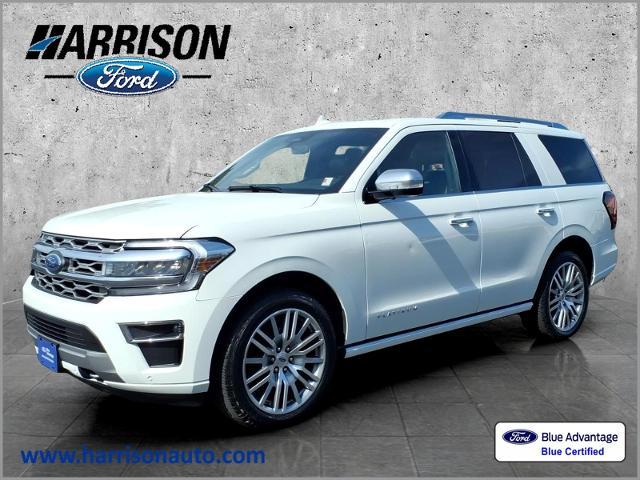 2022 Ford Expedition Platinum for sale in Mankato, MN