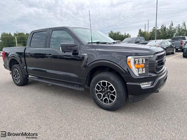 2023 Ford F-150 XLT for sale in Petoskey, MI