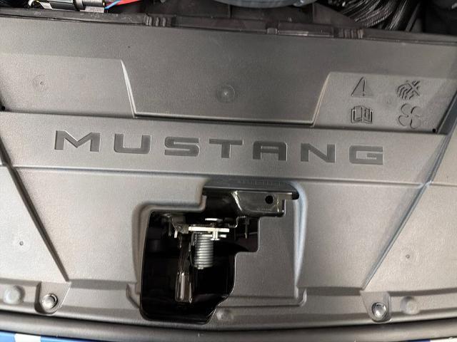 2025 Ford Mustang GT Premium Fastback